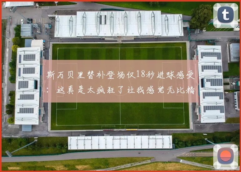 斯万贝里替补登场仅18秒进球感受：这真是太疯狂了让我感觉无比精彩
