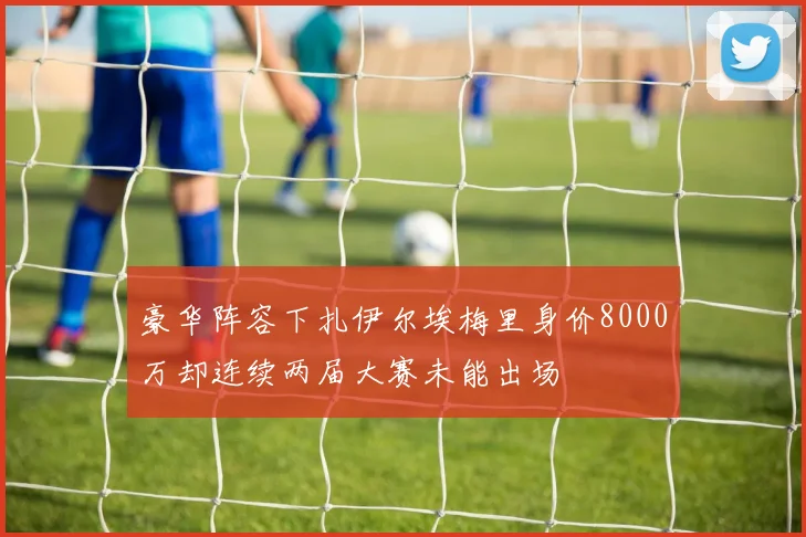 豪华阵容下扎伊尔埃梅里身价8000万却连续两届大赛未能出场